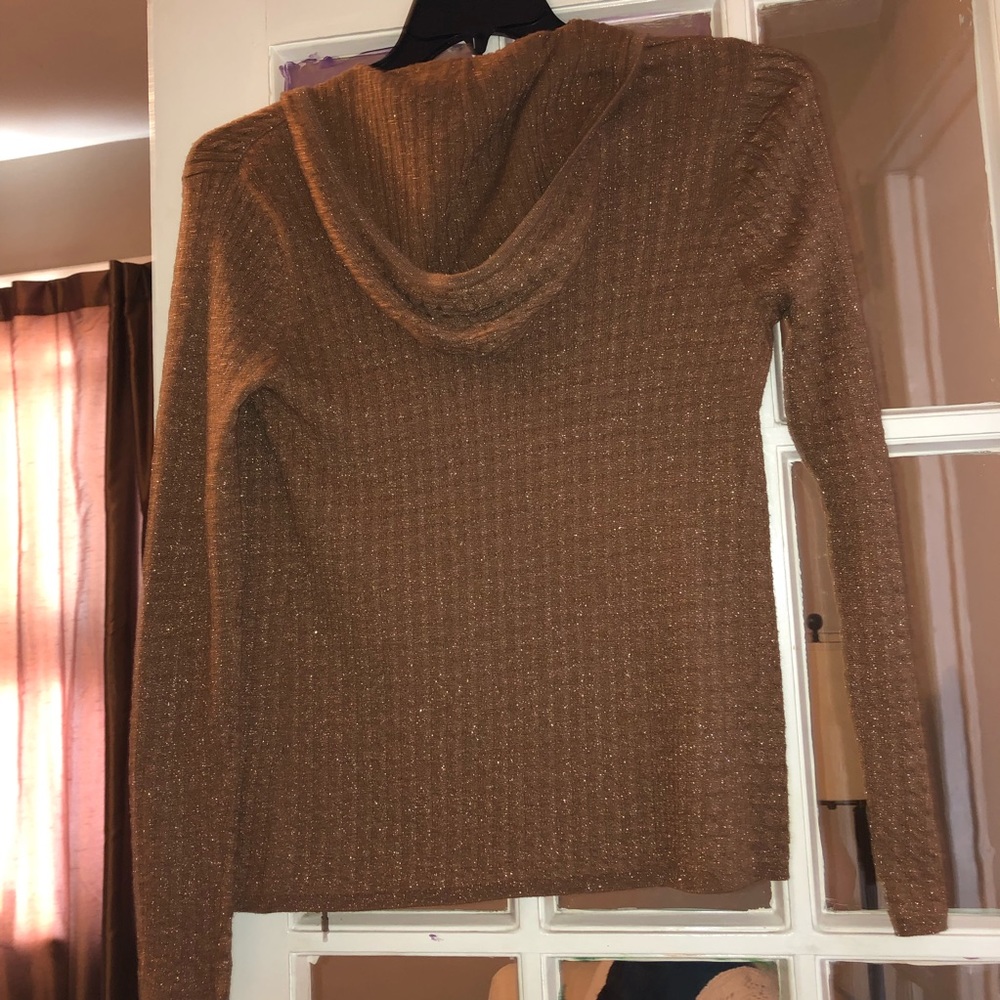 sparkly brown sweater